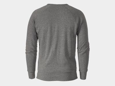 Trek Shirt Trek Circle Rundhals L Grey Produktbild 1