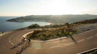 Trek Trikot Trek Circuit L Black Produktbild 8