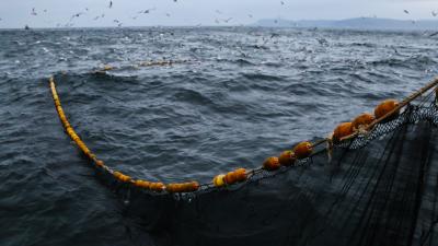 Bontrager Flaschenhalter Bontrager Elite Ocean Recycled Radi Produktbild 3