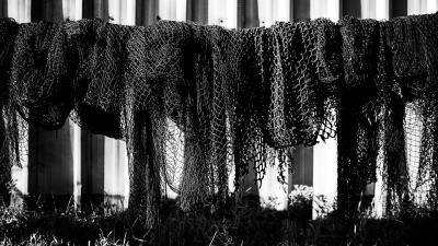 Bontrager Flaschenhalter Bontrager Elite Ocean Recycled Plas Produktbild 1