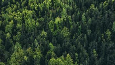 Trek Shirt Trek Evoke Tech Tee Large Era White Produktbild 9