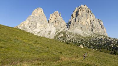 Trek Powerfly FS+ 4 EU S 27.5 Pennyflake/Black Olive Produktbild 9