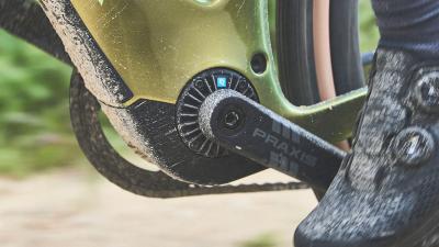 Trek Checkpoint+ SL6AXS EU XL Fjord Blue/Cobalt Blue Produktbild 6