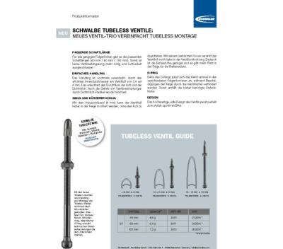 Schwalbe Schwalbe Tubeless-Ventil  Ein Paar 40 mm Produktbild 5